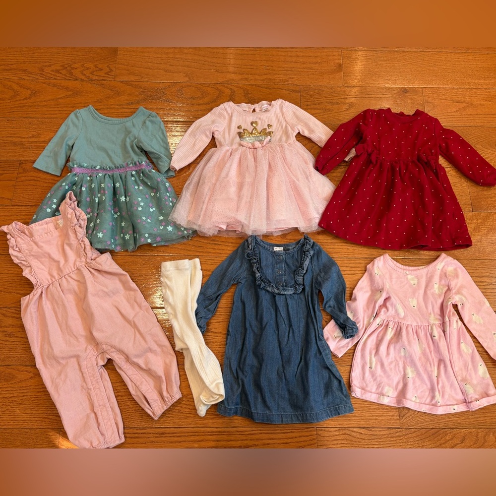 12M Baby Girl Fall Winter Bundle Dresses Carter’s Tulle Pink Holiday Outfit Lot